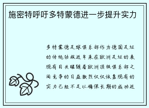 施密特呼吁多特蒙德进一步提升实力